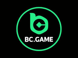 BC App Overview A Comprehensive Guide to its Features and Benefits